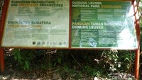 Memasuki Taman Nasional Gunung Leuser