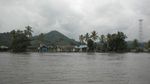 Serunya Bertualang Menjelajah Sungai Mahakam
