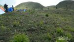 Serunya Camping di Bukit Teletubbies Dieng