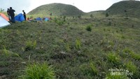 Bukit Teletubbies