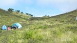 Serunya Camping di Bukit Teletubbies Dieng