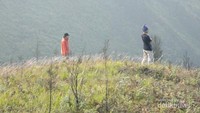 Bukit Teletubbies