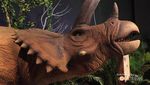 Serunya Dunia Dinosaurus di Jungleland