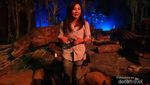 Serunya Dunia Dinosaurus di Jungleland