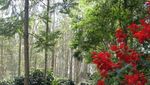Serunya Gowes Sepeda di Trek Roller Coaster