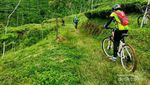 Serunya Gowes Sepeda di Trek Roller Coaster