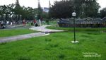 Serunya Main & Kasih Makan Rusa di Taman Kampus USU