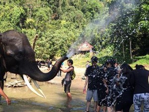 Serunya Memandikan Gajah di Langkat, Sumatera Utara