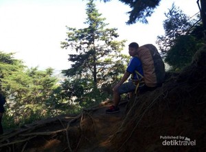 Serunya Mendaki Gunung Prau di Kawasan Dieng