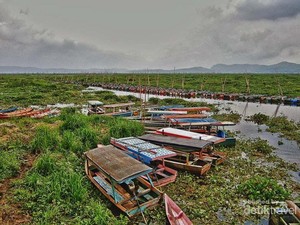 Serunya Mengarungi Lautan Eceng Gondok di Rawa Pening