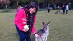 Serunya Menjelajah New South Wales, Australia