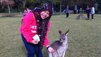 Berfoto dengan hewan andalan Australia, Kanguru!