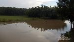Serunya Menjelajahi Hutan Vietnam