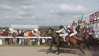 kuda keluar dari starting gate