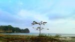 Serunya Syuting My Trip My Adventure di Pacitan