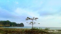 Pantai Dangkal di Pacitan