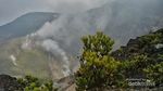 Setan Keder Gunung Gede, Bikin Pendaki Jadi Keder