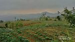 Setan Keder Gunung Gede, Bikin Pendaki Jadi Keder