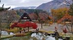 Shirakawago, Desa Cantik Jepang Warisan Dunia UNESCO