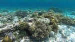 Si Cantik Luar Dalam Pulau Lihaga di Sulawesi Utara