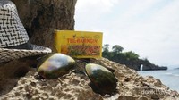 Crystal Bay merupakan salah satu pantai yang ada di Nusa Penida , di sini wisatawan juga bisa menyewa perahu untuk snorkling.