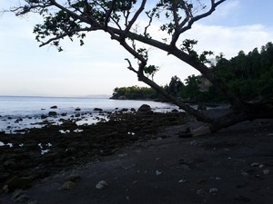 Si Hitam, Cantik, Nan Eksotis di Aceh
