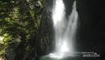 Si Kembar Cantik dari Desa Gitgit, Bali