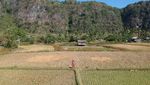 Si Megah Rammang-Rammang, Karst Terbesar Ketiga Dunia