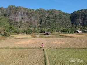 Si Megah Rammang-Rammang, Karst Terbesar Ketiga Dunia