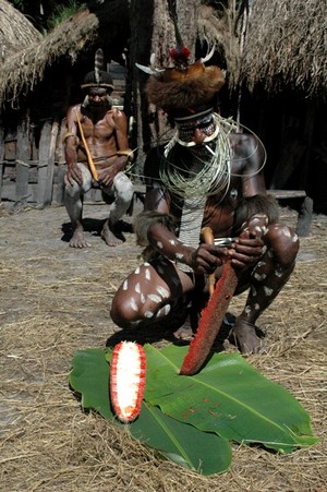 Si Merah Ini Hanya Ada di Papua
