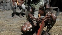 Seorang pemuda kampung Obia sedang membersihkan buah merah (foto:keken/detikTravel)