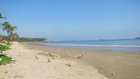 Jalan tanah akan berujung di Pantai Sumur (Fitraya/detikTravel)