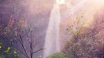 Siapa Sangka, Ada Air Terjun Seindah Ini di Purworejo