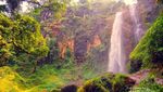 Siapa Sangka, Ada Air Terjun Seindah Ini di Purworejo