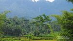 Siapa Sangka, Ada Air Terjun Seindah Ini di Purworejo