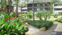 Salah satu sudut Rimba Papua Hotel