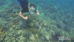 Siapa Sangka, Ada Tempat Snorkeling Keren di Kalsel!