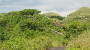 Siapa Sangka, Bali Juga Punya Bukit Teletubbies