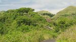 Siapa Sangka, Bali Juga Punya Bukit Teletubbies