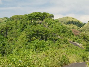 Siapa Sangka, Bali Juga Punya Bukit Teletubbies