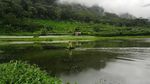 Siapa Sangka, Bedugul Punya 3 Danau Super Cantik!