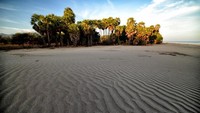 Pantai Oetune dengan padang pasir