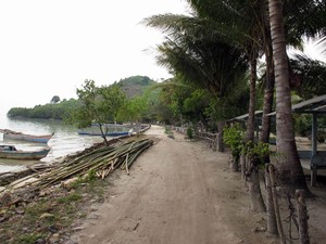 Siapa Sangka, Lampung Punya Alam Bawah Laut Seindah Ini