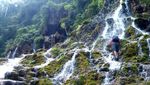 Siapa Sangka, Lumajang Punya Air Terjun Seindah Ini