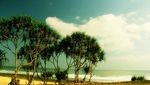 Siapa Sangka, Masih Ada Pantai Cantik dan Sepi di Yogya