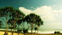 Panorama Pantai Goa Watu Lawang