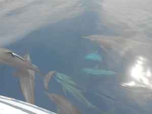 Siladen, Primadona di Bunaken