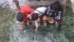 Singgah di Desa Sawinggrai yang Mempesona di Raja Ampat