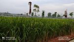 Singgah di Tajug Gede Purwakarta, Bonus Agrowisata Nan Instagrammable