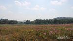 Singha Park, Taman Indah di Utara Thailand